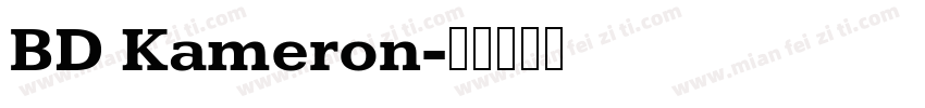 BD Kameron字体转换